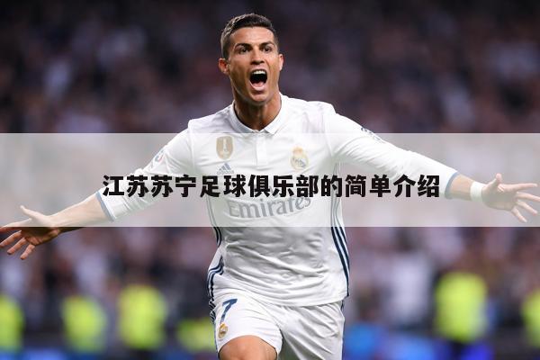 江苏苏宁足球俱乐部的简单介绍