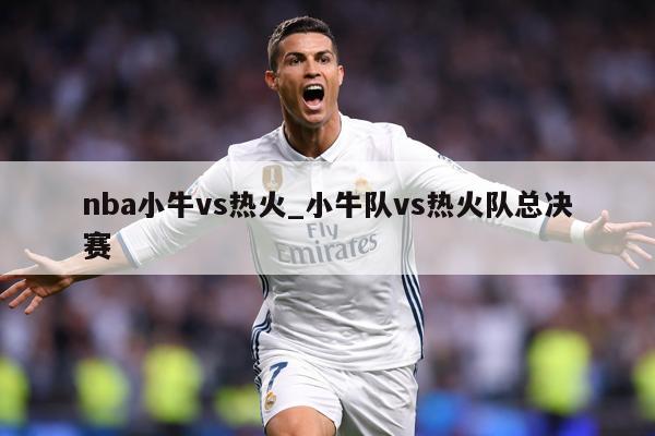 nba小牛vs热火_小牛队vs热火队总决赛