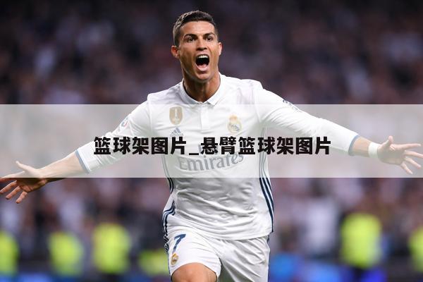 篮球架图片_悬臂篮球架图片